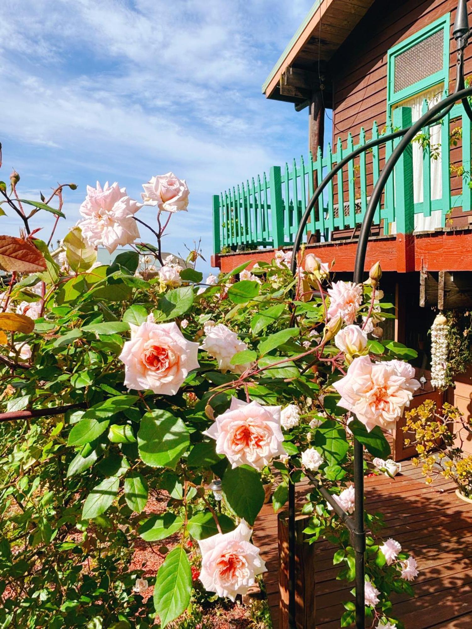 The Goat And Goose Bed & Breakfast Lakes Entrance Exterior foto